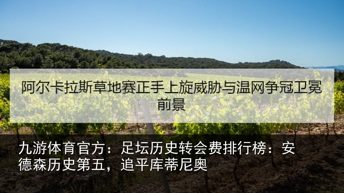 九游体育官方：足坛历史转会费排行榜：安德森历史第五，追平库蒂尼奥