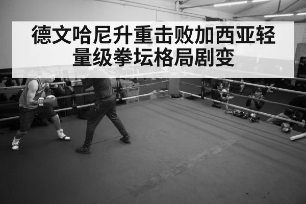 德文哈尼升重击败加西亚轻量级拳坛格局剧变